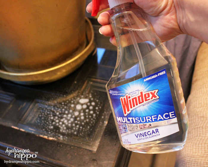 Windex Pledge andPledge Multi-Surface for 10 Minute Instaclean with Jennifer Priest 5