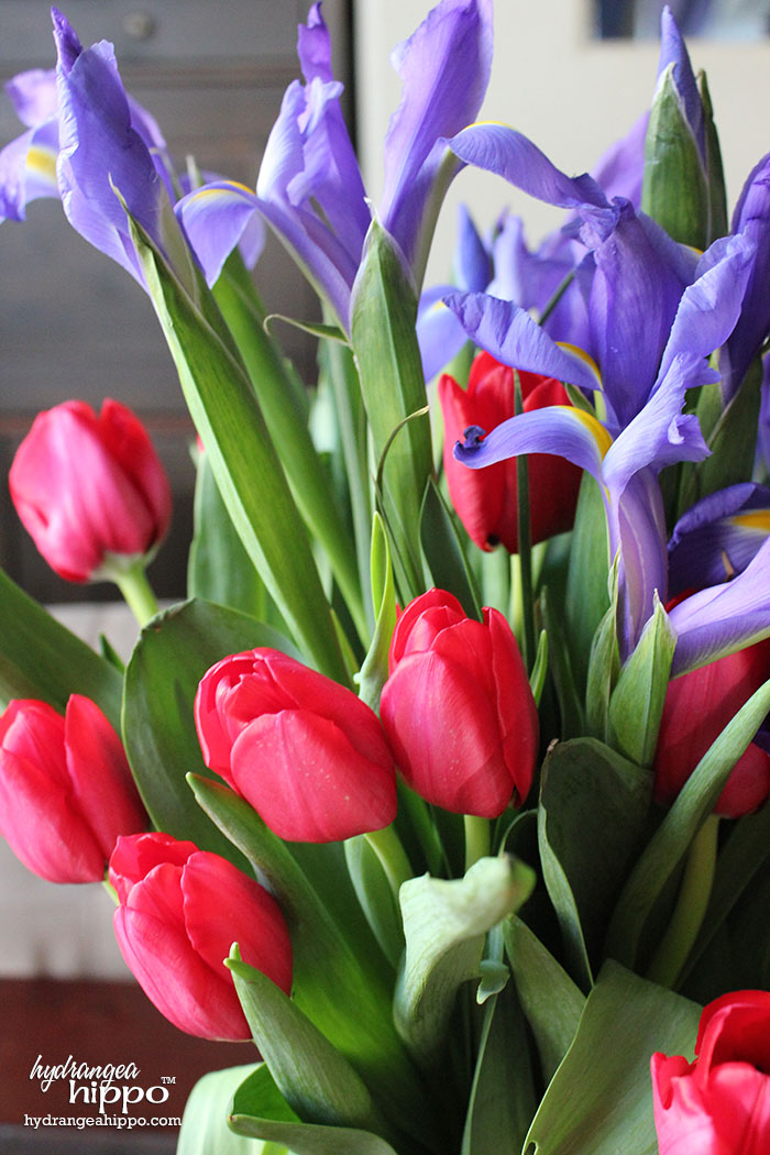 Closeup of Tulip and Iris from ProFlowers Valentine Arrangment - Affordable way to decorate for a romantic affair